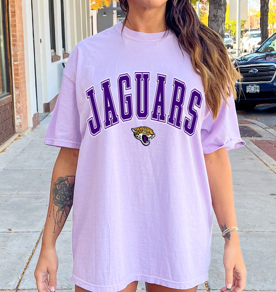 Comfort Colors Desoto Central Jaguars Tee / Desoto County Schools / Mississippi School Shirt