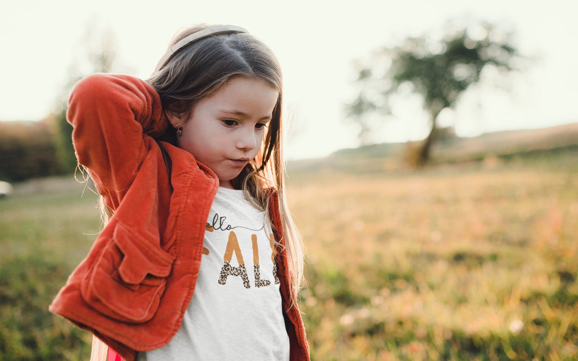 Hello Fall - Pumpkin Shirt/ Bella Canvas / Fall Layering Tee / Teachers Tee