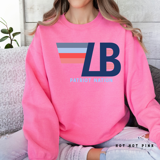 LMS Cheer Fundraiser - Lewisburg Patriot Nation Sweatshirt