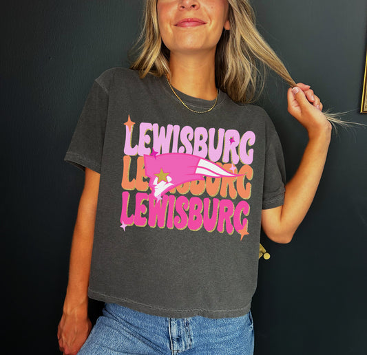 Cropped Comfort Colors Lewisburg Retro Pink Unisex Shirt / Adult Sizes/ Lewisburg -Desoto County Schools /Lewisburg Patriots Mississippi School Shirt