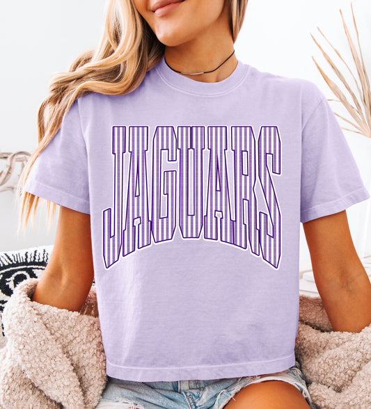 Comfort Colors Boxy Crop DC Jaguars Stripe Tee / Desoto Central Schools / Mississippi School Shirt /Adult Sizes - DC Jags/ Desoto Central