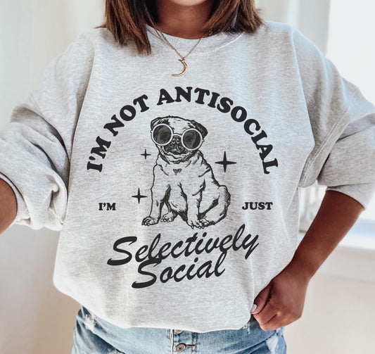 I'm Not Antisocial, I'm Just Selectively Social Unisex Sized Sweatshirt/ Gildan or Bella Brand/ Adult Sizes/ Funny Sweatshirts