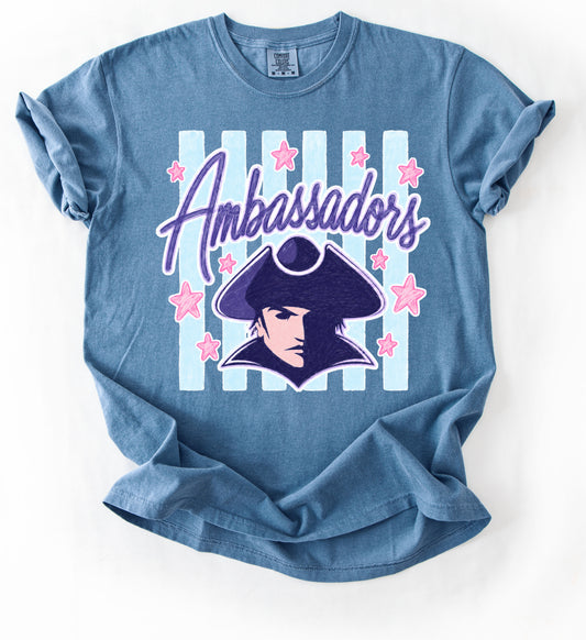 Comfort Colors Ambassadors Stripe Shirt/ Youth and Adult Sizes