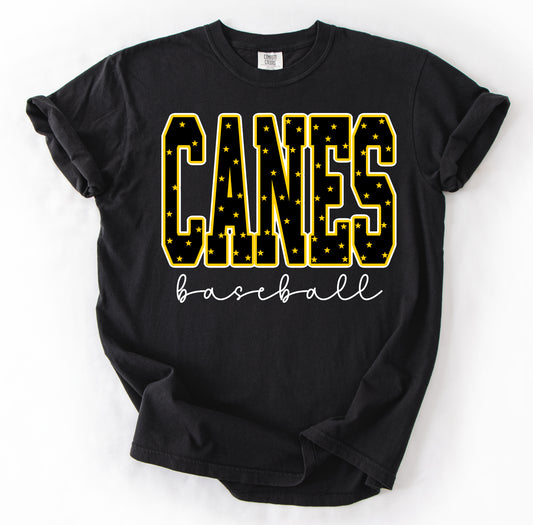 Bella Canvas, Gildan Softstyle, or Comfort Colors Brand Canes Baseball Shirt/ Youth and Adult Sizing