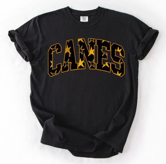 Bella Canvas, Gildan Softstyle, or Comfort Colors Brand Canes Baseball Shirt/ Youth and Adult Sizing