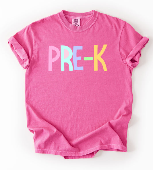 Custom Any Grade Comfort Colors Pastel Unisex Shirt / Youth and Adult Sizes/ Back To School Shirt