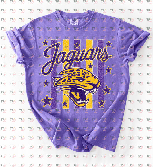 Comfort Colors Desoto Central Jaguars Stripe Tee / Desoto Central Schools / Mississippi School Shirt /Youth and Adult Sizes - DC Jags/ Desoto Central