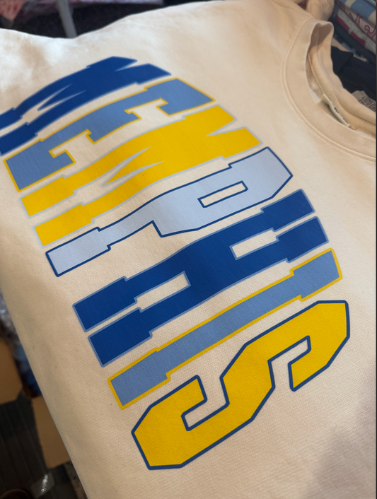 Memphis Sweatshirts/ Gildan or Bella Canvas Brand Sweatshirt