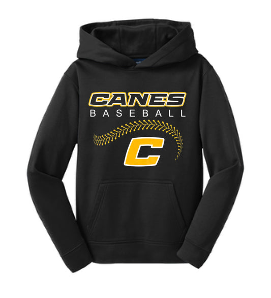 Black Canes Baseball Hoodie/ Youth and Adult Sizes