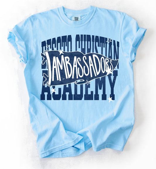 Desoto Christian Academy (Or Any Other School) Custom School Back To School Shirt/ Students or Teachers Shirt/ Any School Available/  Back To School - Multiple Colors