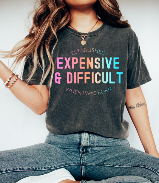 Comfort Colors Funny Expensive and Difficult Tee/ Gifts for Her/ Valentines Shirts