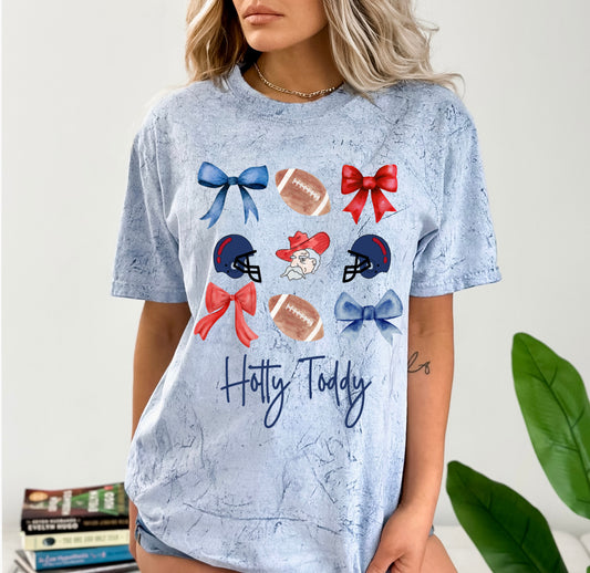 Comfort Colors Color Blast Go Rebs Tee - Mississippi Tee / Rebel Shirt/ Youth and Adult Sizes