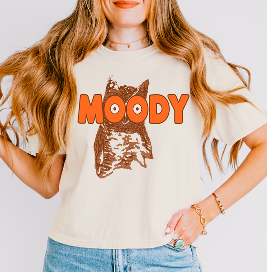 Boxy Crop Moody Owl Shirt/ Owl Hooters Shirt/ Comfort Colors Brand/ Adult Sizes