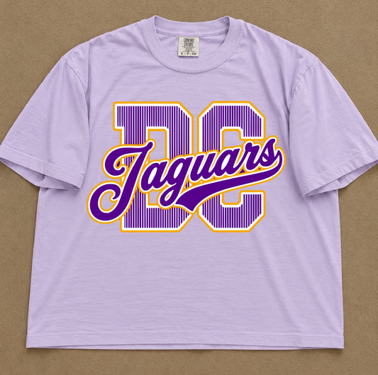 Comfort Colors Boxy Crop (Or Full Length) DC Jaguars Stripe Tee / Desoto Central Schools / Mississippi School Shirt /Adult Sizes - DC Jags/ Desoto Central