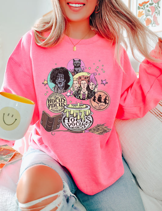 Pink Halloween Witches Sweatshirt/ Halloween Sweatshirt/ Youth and Adult Sizes
