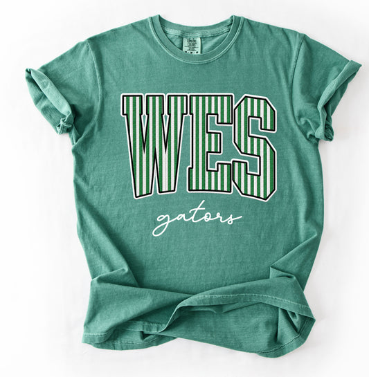 Walls Elementary Shirt/ Youth and Adult Sizes/ Comfort Colors Brand