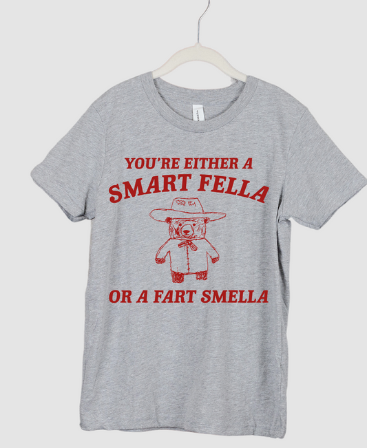 You're Either a Smart Fella Or a Fart Smella Funny Unisex Sized Tee/ Gildan or Bella Brand/ Adult Sizes/ Funny Shirts