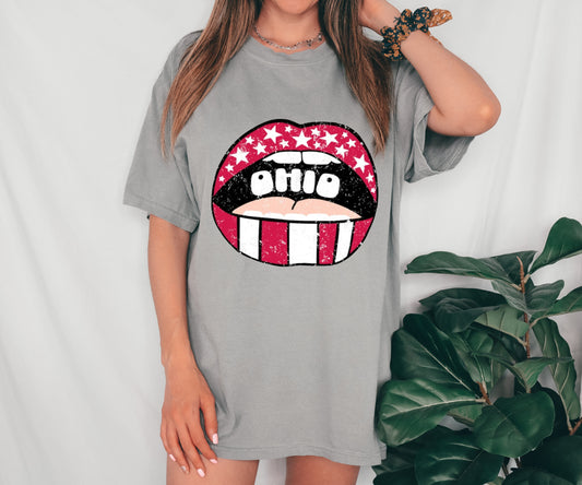 SPIRIT DROP - Comfort Colors Ohio Tee / Youth and Adult Sizes
