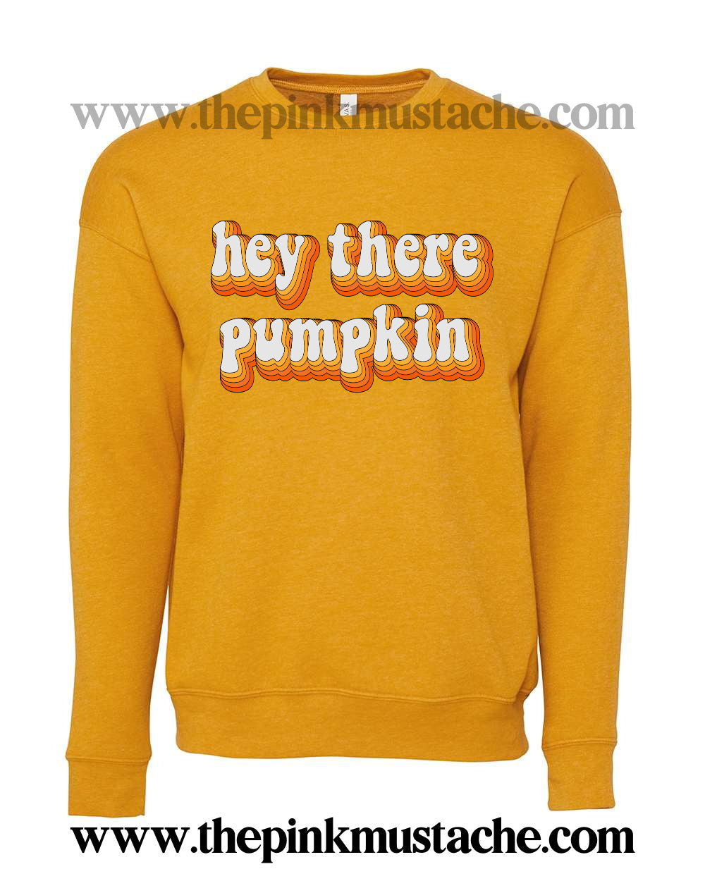 BELLA CANVAS Hey There Pumpkin Fall Sweatshirts/ Unisex sized Sweatshirts/ DTG printed Quality Soft Sweatshirts