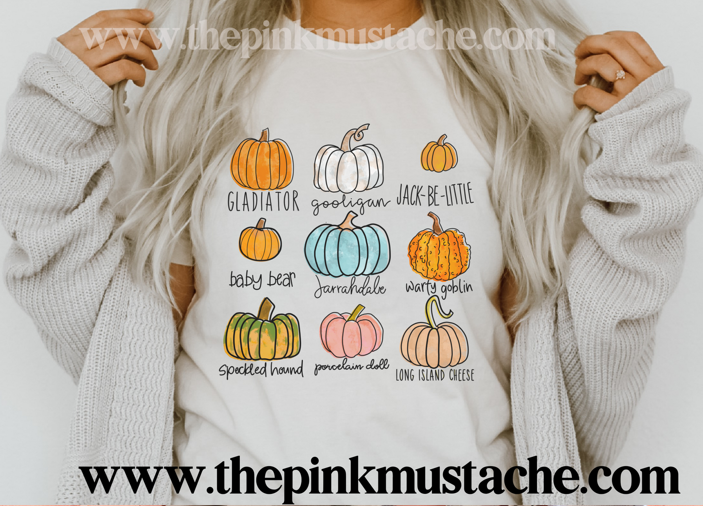 Pumpkin Varieties Funny Fall Shirt/ Boutique Bella Canvas  Tee/ Fall Layering Tee / Teachers Tee Youth and Adult Sizing
